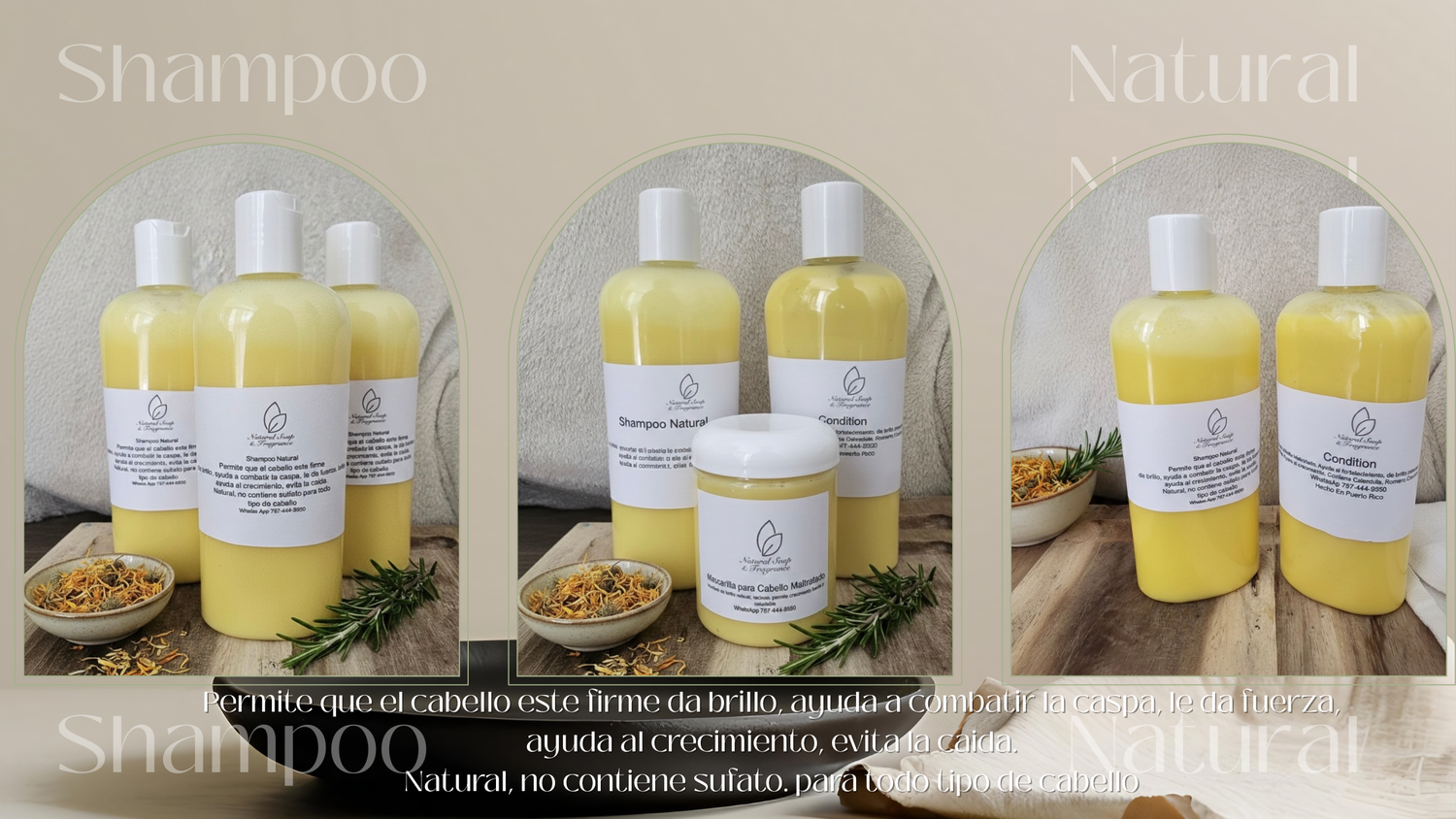 Shampoo
